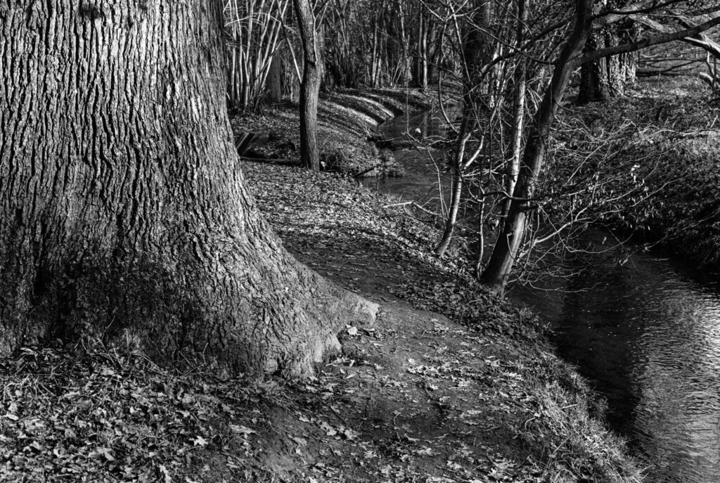 b&w, black and white, bw, cologne, dellbrück, film, fotografie, kodak, köln, photography, phototech, project, projekt, schwarzweiß, stadtbezirk 9 - mülheim, sw, tri-x 400