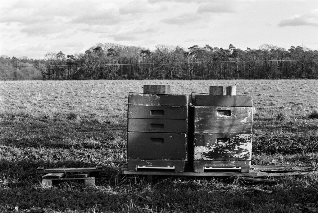 b&w, black and white, bw, cologne, dellbrück, film, fotografie, kodak, köln, photography, phototech, project, projekt, schwarzweiß, stadtbezirk 9 - mülheim, sw, tri-x 400