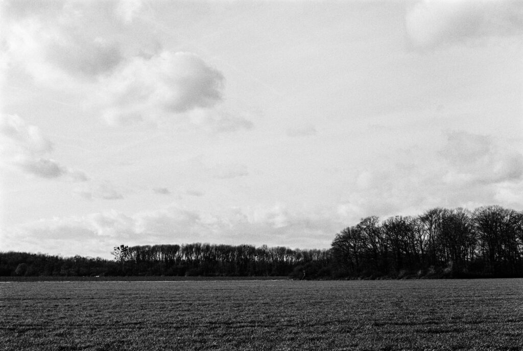 b&w, black and white, bw, cologne, dellbrück, film, fotografie, kodak, köln, photography, phototech, project, projekt, schwarzweiß, stadtbezirk 9 - mülheim, sw, tri-x 400