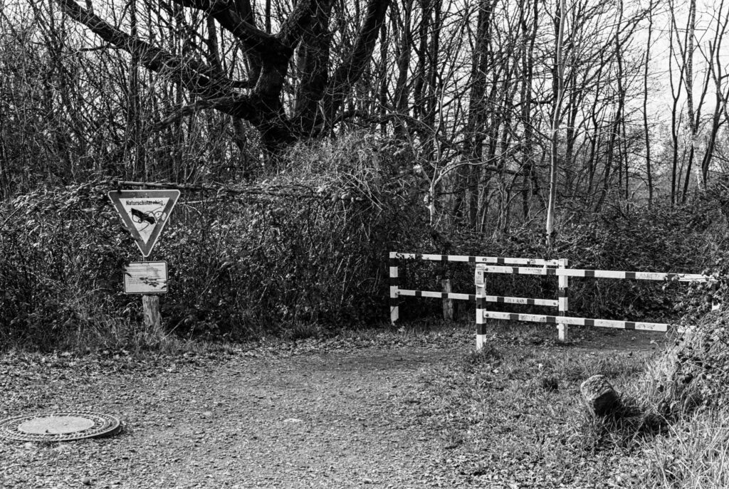 b&w, black and white, bw, cologne, dellbrück, film, fotografie, kodak, köln, photography, phototech, project, projekt, schwarzweiß, stadtbezirk 9 - mülheim, sw, tri-x 400