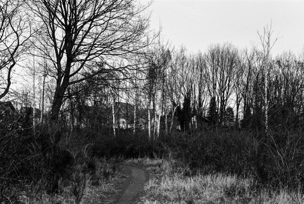 b&w, black and white, bw, cologne, dellbrück, film, fotografie, kodak, köln, photography, phototech, project, projekt, schwarzweiß, stadtbezirk 9 - mülheim, sw, tri-x 400