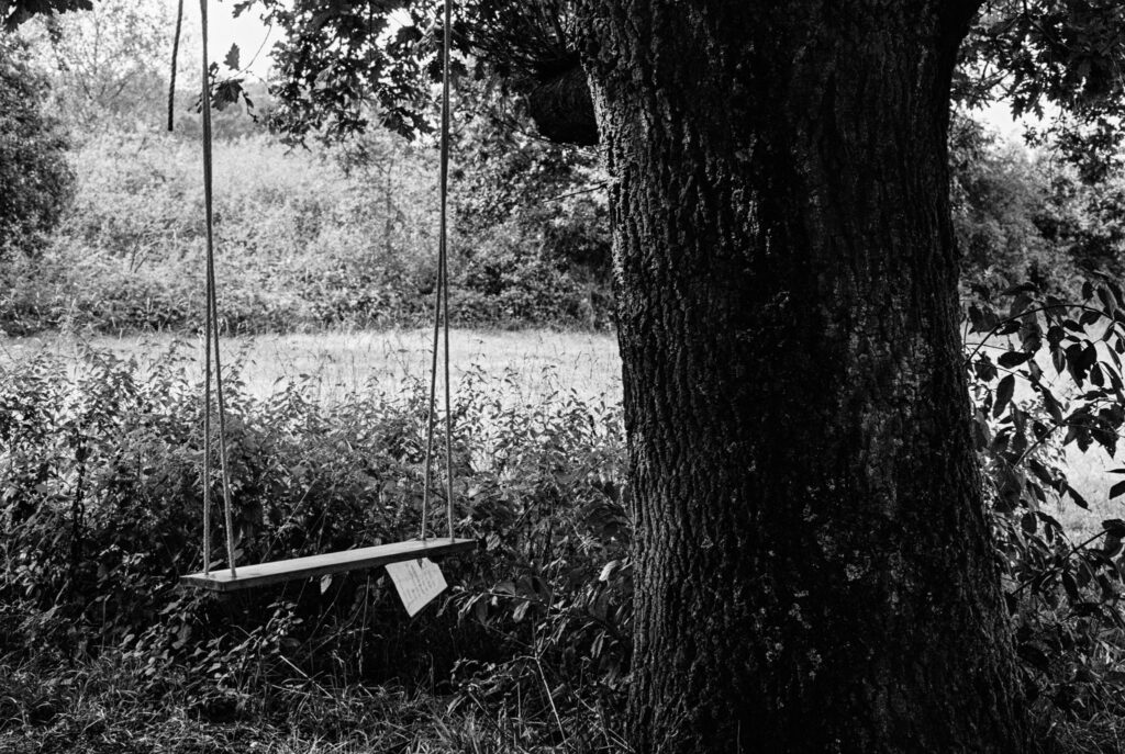 b&w, black and white, bw, cologne, dellbrück, film, fotografie, kodak, köln, photography, phototech, project, projekt, schwarzweiß, stadtbezirk 9 - mülheim, sw, tri-x 400