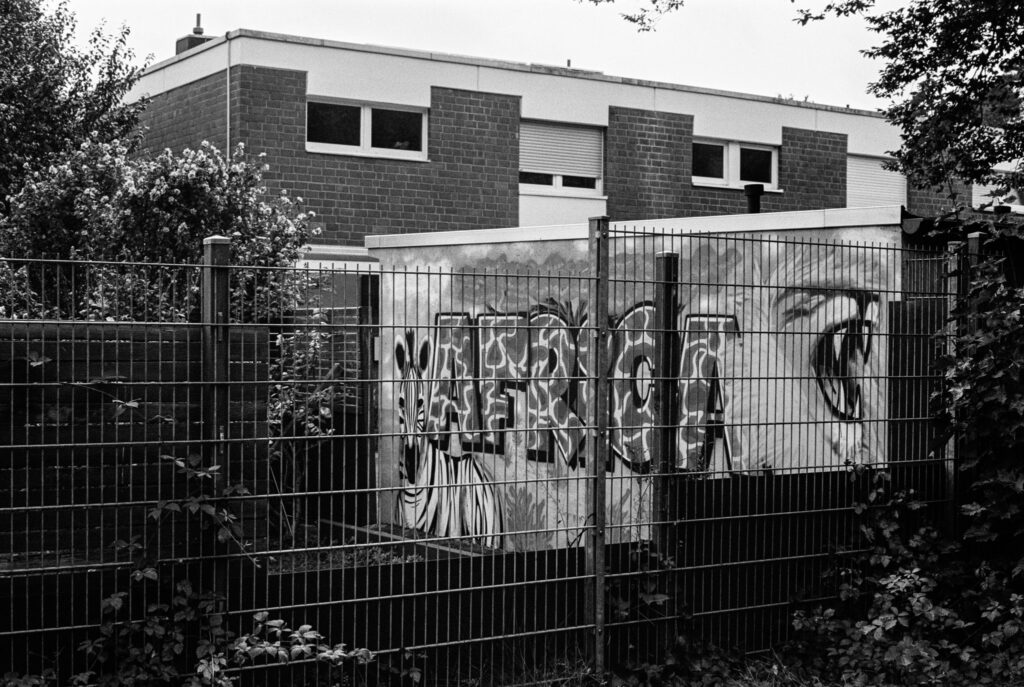 b&w, black and white, bw, cologne, dellbrück, film, fotografie, kodak, köln, photography, phototech, project, projekt, schwarzweiß, stadtbezirk 9 - mülheim, sw, tri-x 400