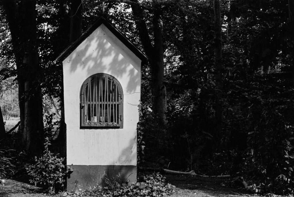 b&w, black and white, bw, cologne, dellbrück, film, fotografie, kodak, köln, photography, phototech, project, projekt, schwarzweiß, stadtbezirk 9 - mülheim, sw, tri-x 400