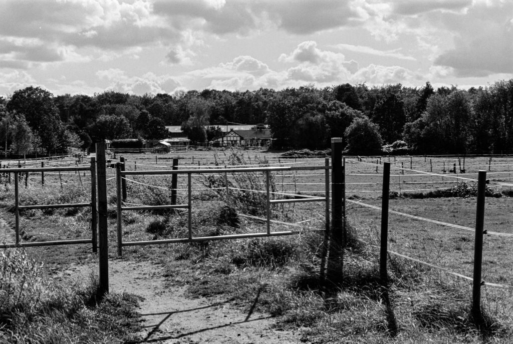 b&w, black and white, bw, cologne, dellbrück, film, fotografie, kodak, köln, photography, phototech, project, projekt, schwarzweiß, stadtbezirk 9 - mülheim, sw, tri-x 400