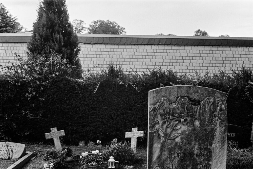 b&w, black and white, bw, cologne, dellbrück, film, fotografie, kodak, köln, photography, phototech, project, projekt, schwarzweiß, stadtbezirk 9 - mülheim, sw, tri-x 400