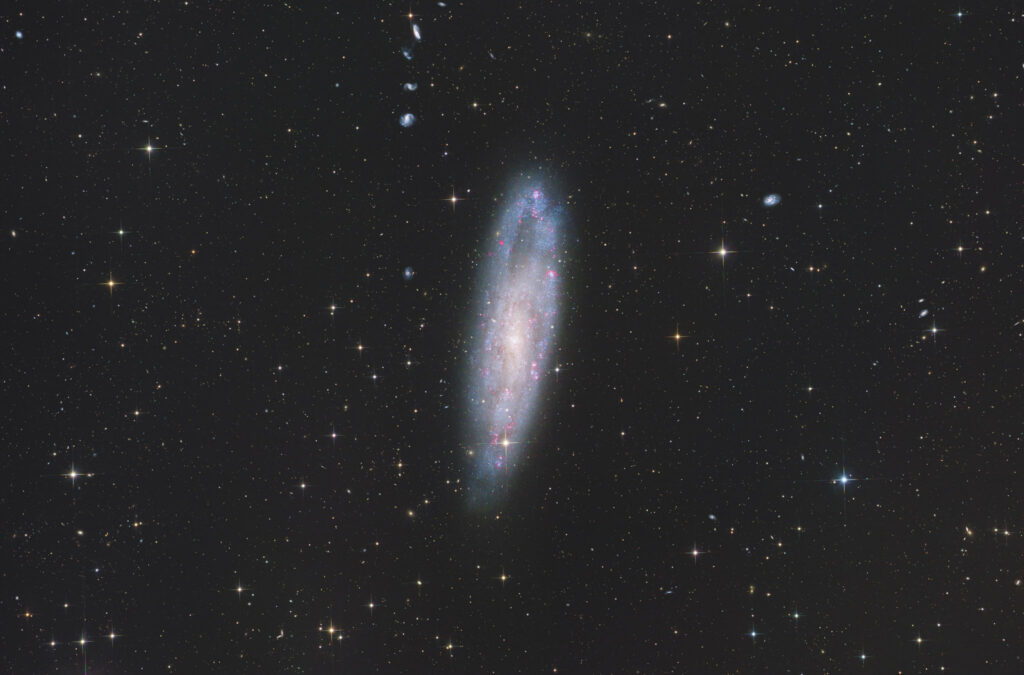 12-inch lacerta remote, NA, astrofotografie, astronomie, astronomy, astrophotography, cetus, claw galaxy, galaxy, hakos, hakos guest farm, ias, ias observatory, ias observatory hakos, khomas, namibia, ngc, ngc247, spiral galaxy, walfisch, world