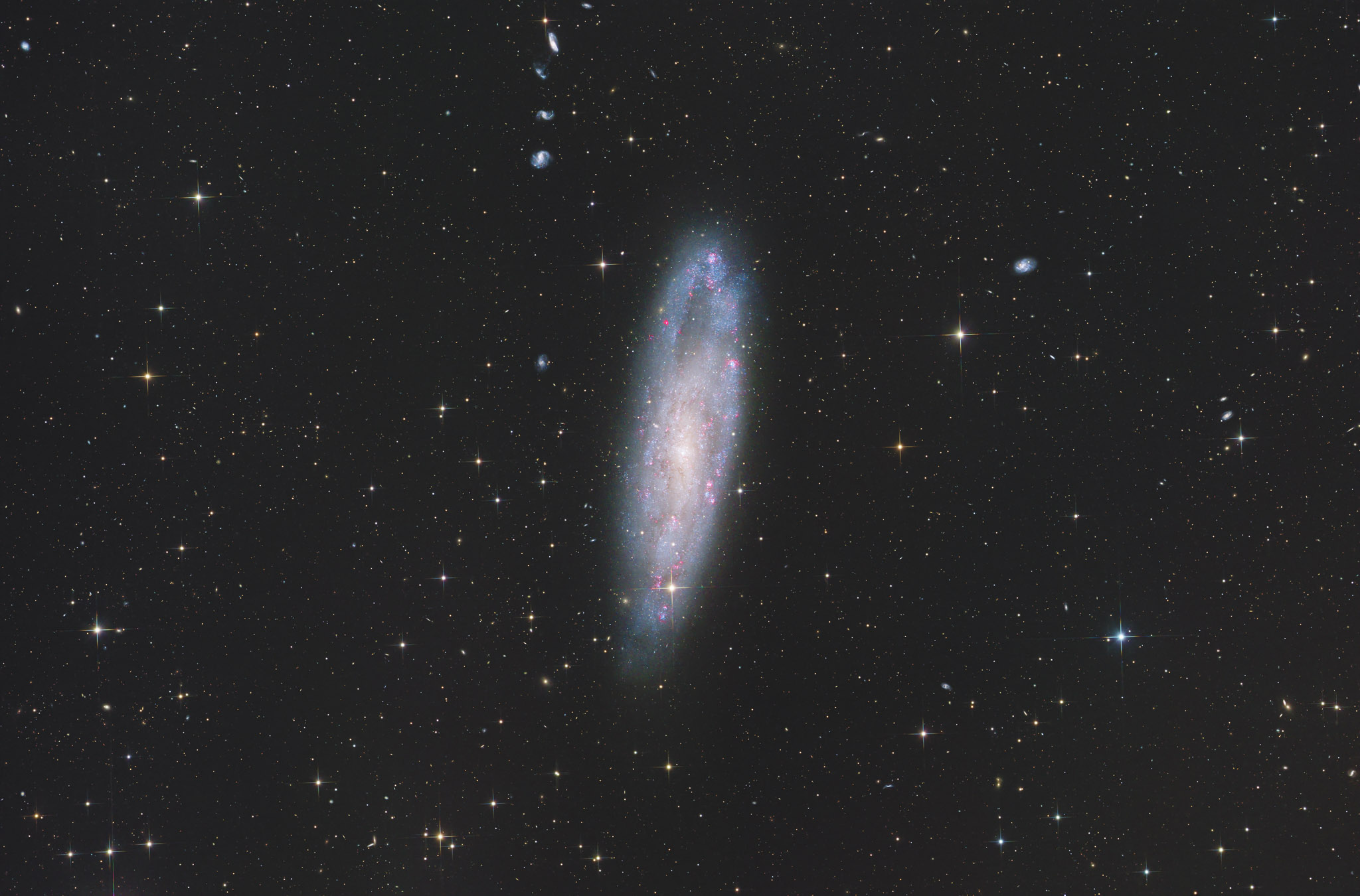 12-inch lacerta remote, NA, astrofotografie, astronomie, astronomy, astrophotography, cetus, claw galaxy, galaxy, hakos, hakos guest farm, ias, ias observatory, ias observatory hakos, khomas, namibia, ngc, ngc247, spiral galaxy, walfisch, world