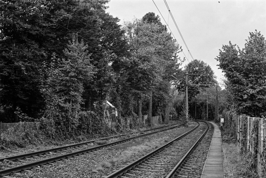 b&w, black and white, bw, cologne, dellbrück, film, fotografie, kodak, köln, photography, phototech, project, projekt, schwarzweiß, stadtbezirk 9 - mülheim, sw, tri-x 400