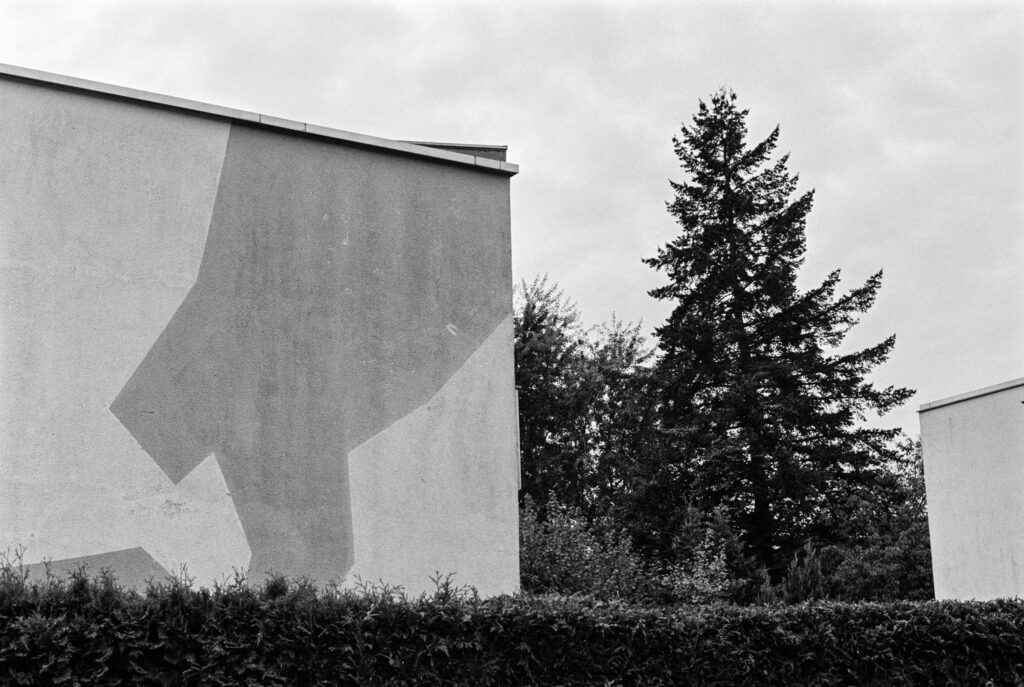 b&w, black and white, bw, cologne, dellbrück, film, fotografie, kodak, köln, photography, phototech, project, projekt, schwarzweiß, stadtbezirk 9 - mülheim, sw, tri-x 400