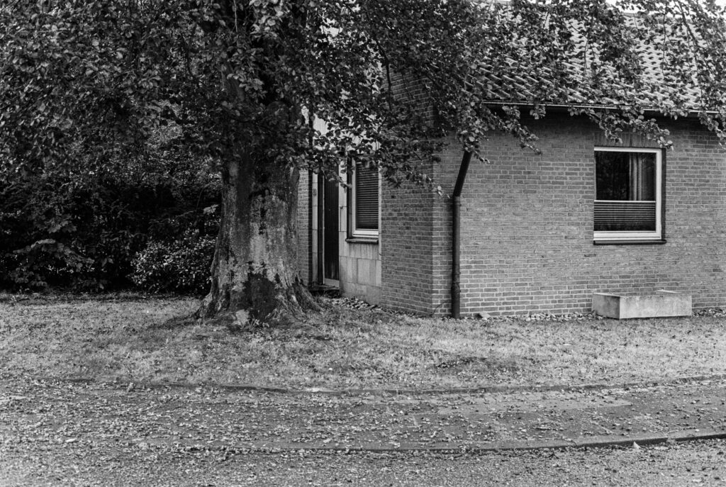 b&w, black and white, bw, cologne, dellbrück, film, fotografie, kodak, köln, photography, phototech, project, projekt, schwarzweiß, stadtbezirk 9 - mülheim, sw, tri-x 400