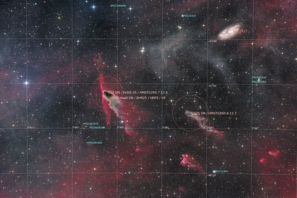 12-inch lacerta remote, NA, astrofotografie, astronomie, astronomy, astrophotography, cg25, cg3, cometary globule, dark nebula, emission nebula, emissionsnebel, galaxy, hakos, hakos guest farm, ias, ias observatory, ias observatory hakos, khomas, namibia, ngc, ngc2427, puppis, world