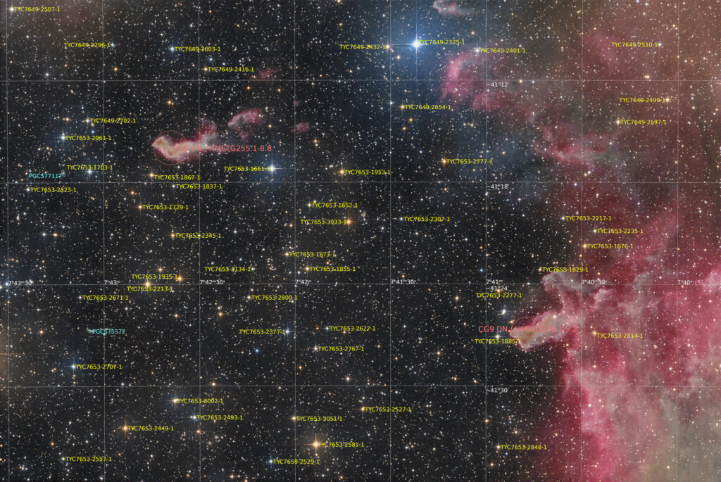 astrofotografie, astronomie, astronomy, astrophotography, cg8, cg9, cometary globule, deep sky, emission nebula, emissionsnebel, puppis, star, stars, stern, sterne