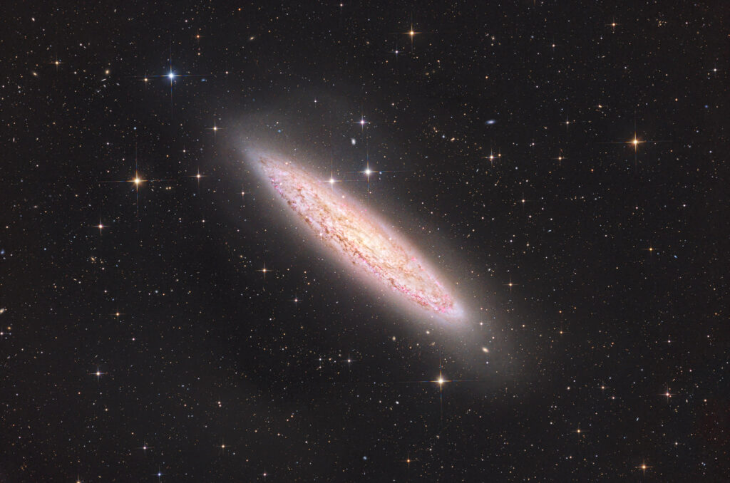 12-inch lacerta remote, NA, astrofotografie, astronomie, astronomy, astrophotography, bildhauer, galaxy, hakos, hakos guest farm, ias, ias observatory, ias observatory hakos, khomas, namibia, ngc, ngc253, sculptor, sculptor galaxy, sculptor-galaxie, silberdollar-galaxie, silver coin galaxy, silver dollar galaxy, spiral galaxy, world