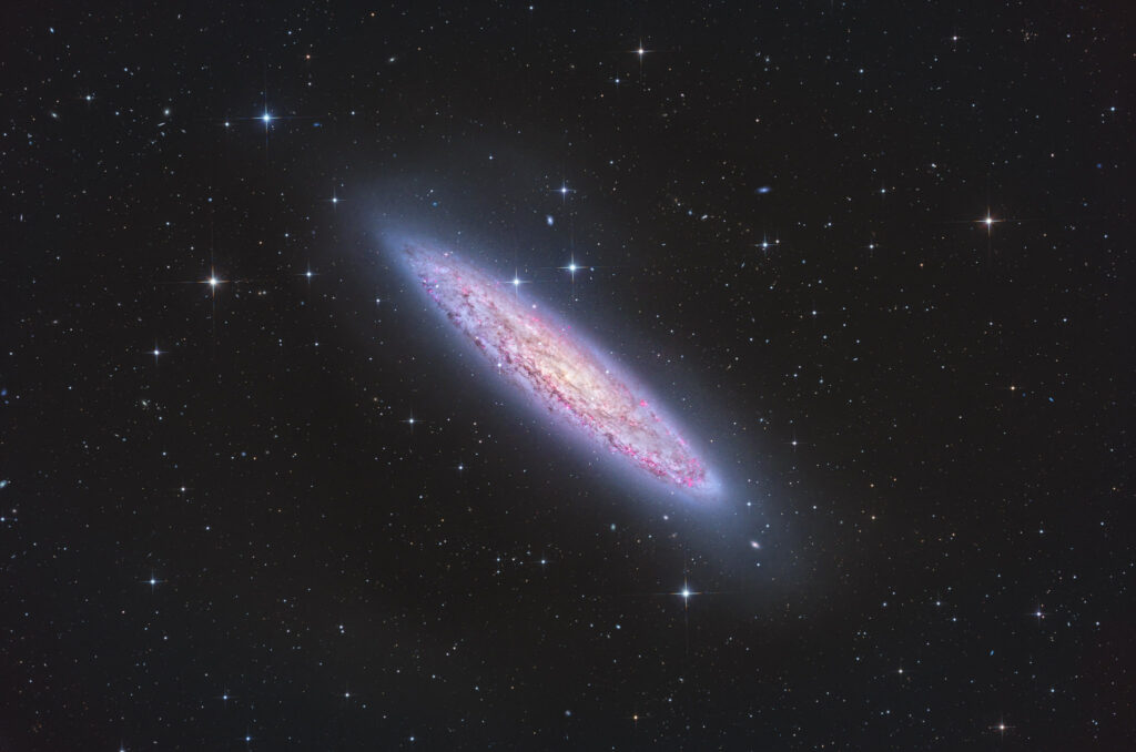 12-inch lacerta remote, NA, astrofotografie, astronomie, astronomy, astrophotography, bildhauer, galaxy, hakos, hakos guest farm, ias, ias observatory, ias observatory hakos, khomas, namibia, ngc, ngc253, sculptor, sculptor galaxy, sculptor-galaxie, silberdollar-galaxie, silver coin galaxy, silver dollar galaxy, spiral galaxy, world