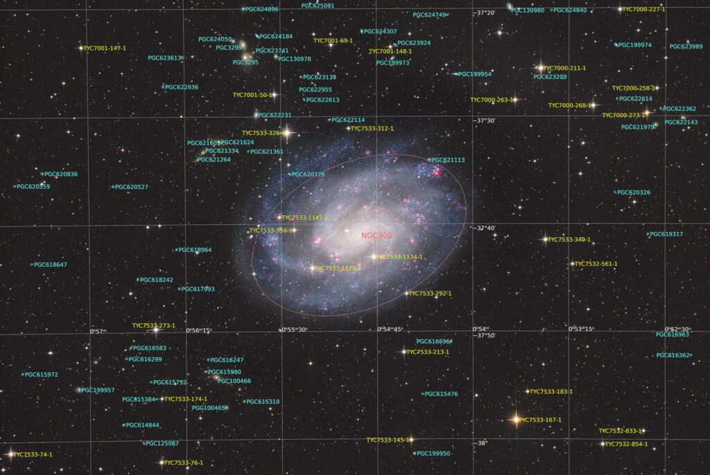 12-inch lacerta remote, NA, astrofotografie, astronomie, astronomy, astrophotography, bildhauer, galaxy, hakos, hakos guest farm, ias, ias observatory, ias observatory hakos, khomas, namibia, ngc, ngc300, sculptor, sculptor pinwheel galaxy, spiral galaxy, world