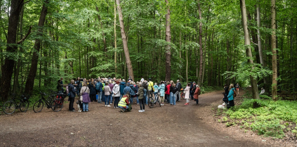 DE, DE-NW, K, NRW, cologne, dellbrück, dellbrückentag, deutschland, ereignisse, events, germany, köln, nordrhein-westfalen, northrhine-westfalia, stadtbezirk 9 - mülheim, world