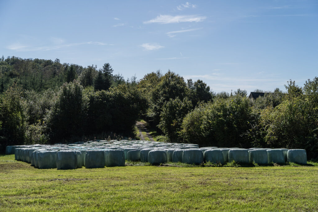 DE, DE-NW, NRW, bergisches land, deutschland, germany, landscape, landschaft, nordrhein-westfalen, northrhine-westfalia, world