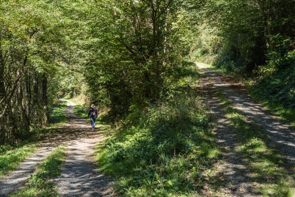 DE, DE-NW, NRW, bergisches land, deutschland, germany, landscape, landschaft, nordrhein-westfalen, northrhine-westfalia, world