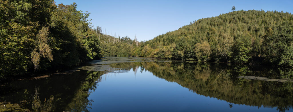 DE, DE-NW, NRW, bergisches land, deutschland, germany, landscape, landschaft, nordrhein-westfalen, northrhine-westfalia, world