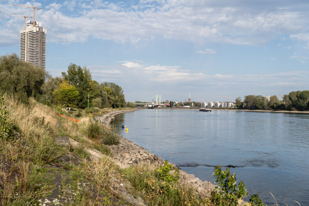 DE, DE-NW, K, NRW, cologne, deutschland, germany, köln, nordrhein-westfalen, northrhine-westfalia, rhein, rhine, world